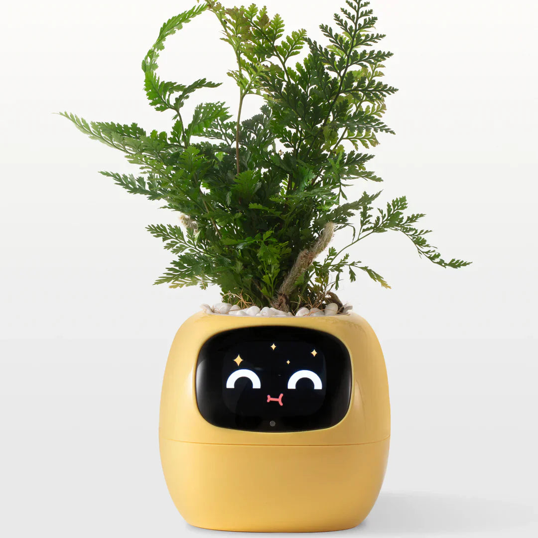 IVI Smart Planter