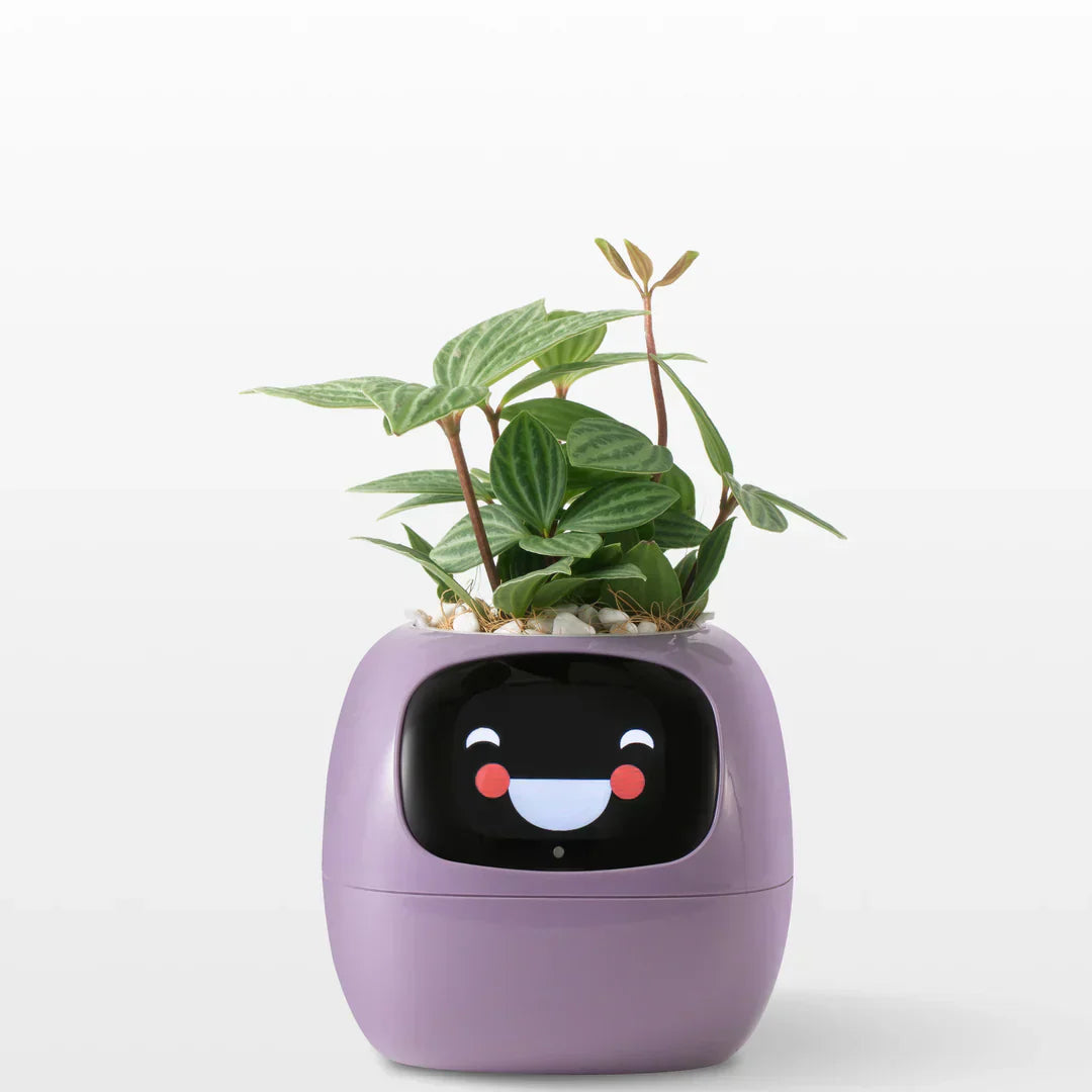 IVI Smart Planter