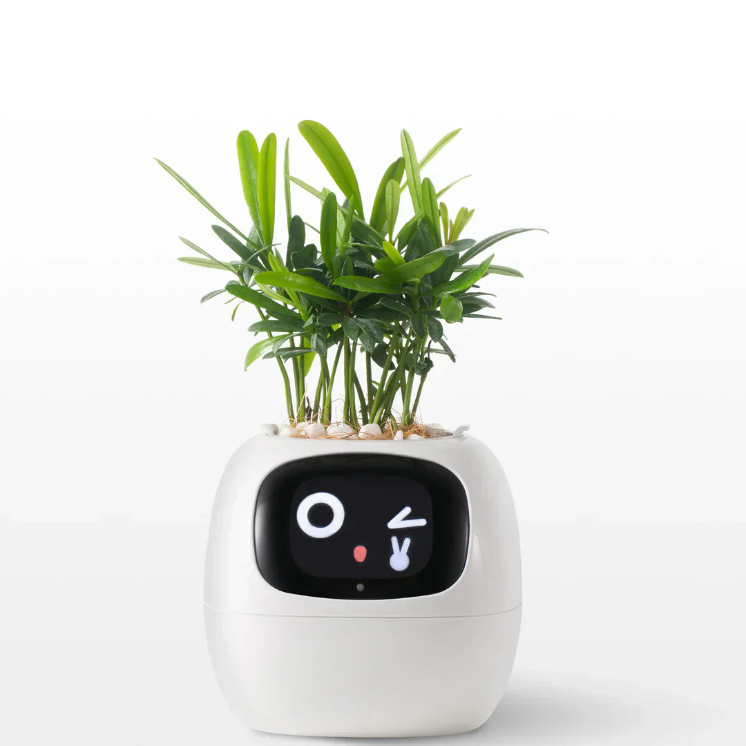 IVI Smart Planter