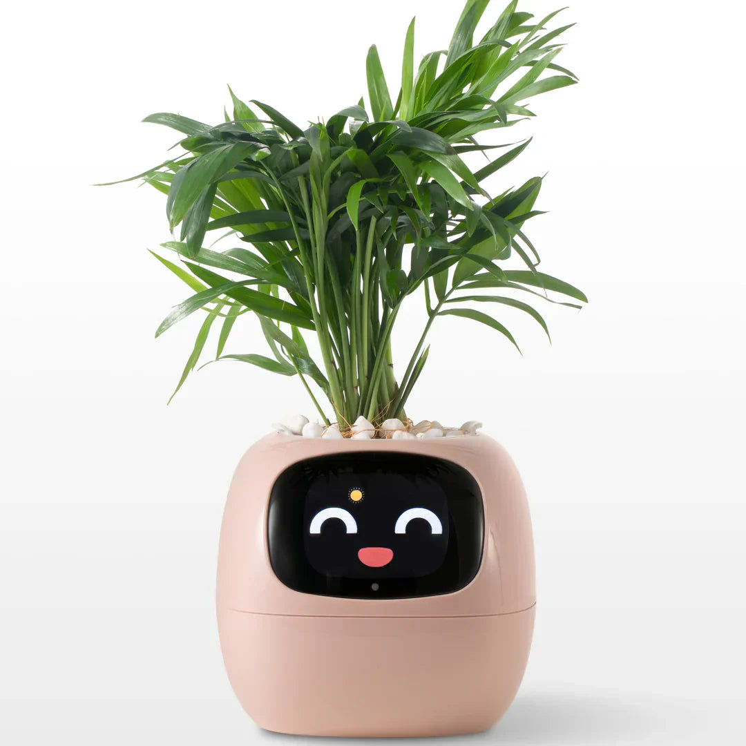 IVI Smart Planter
