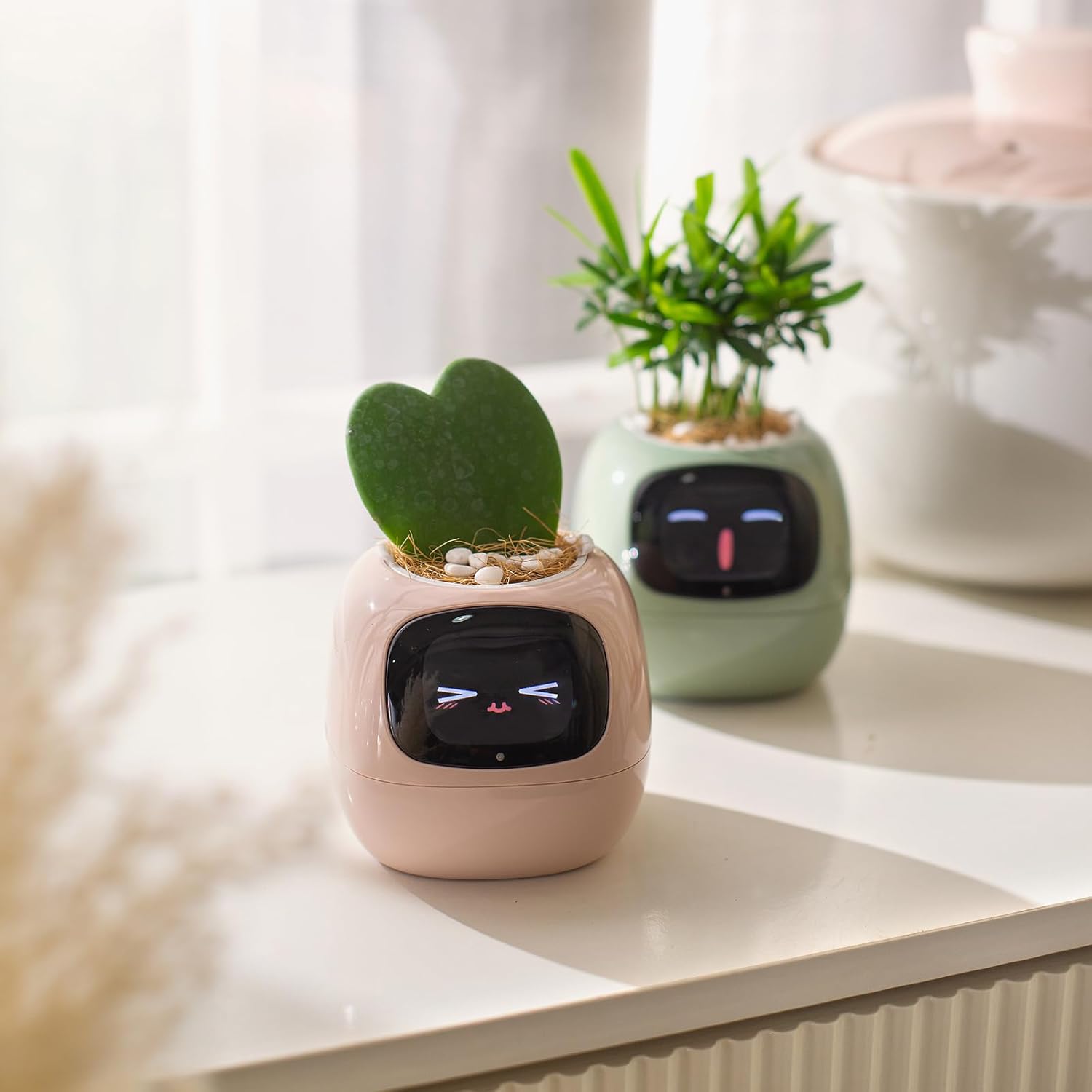 IVI Smart Planter