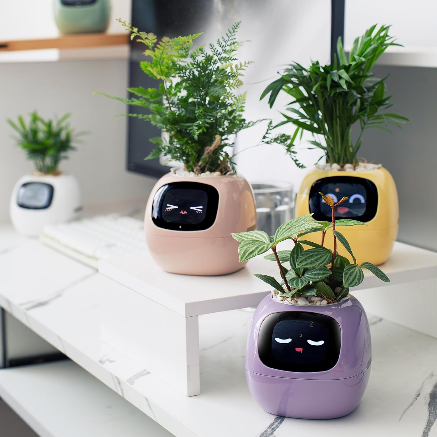 IVI Smart Planter