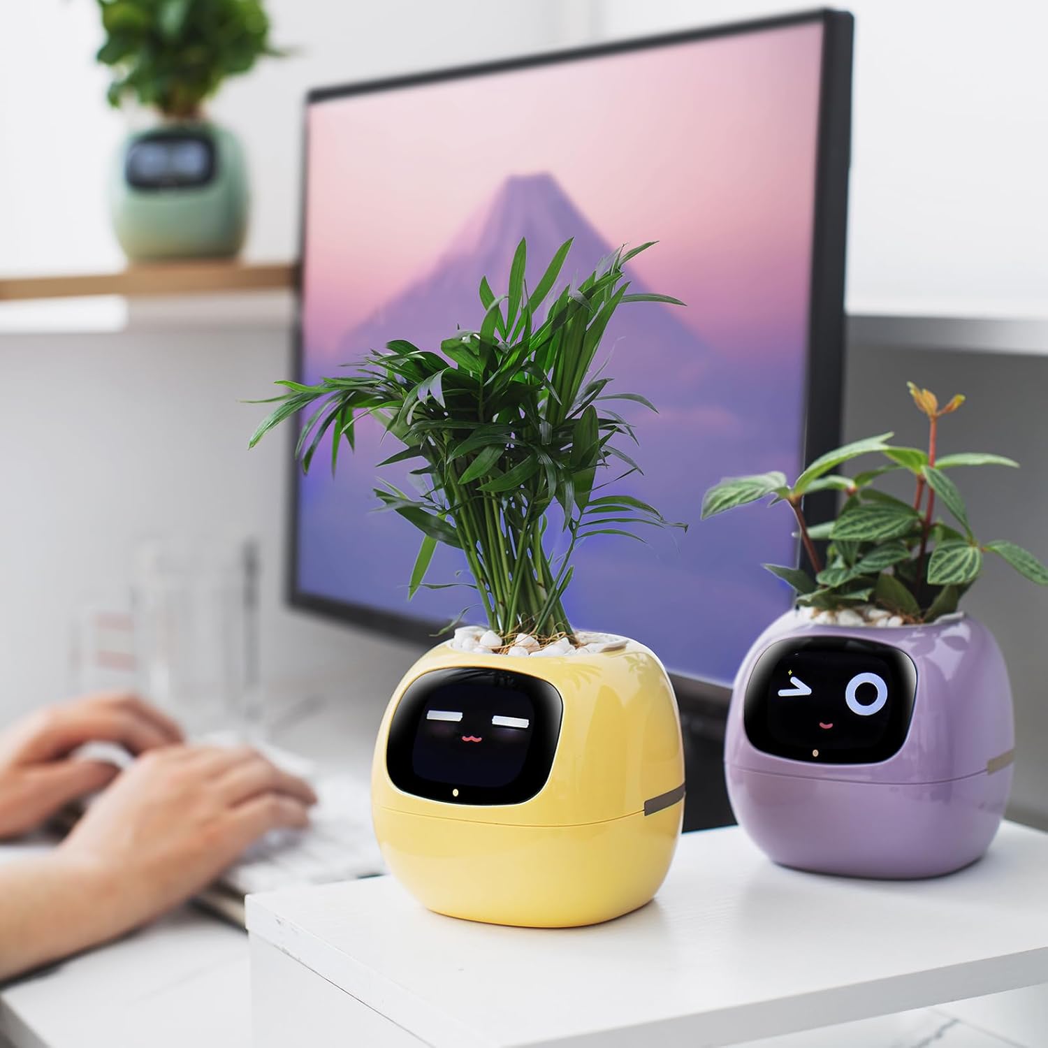 IVI Smart Planter