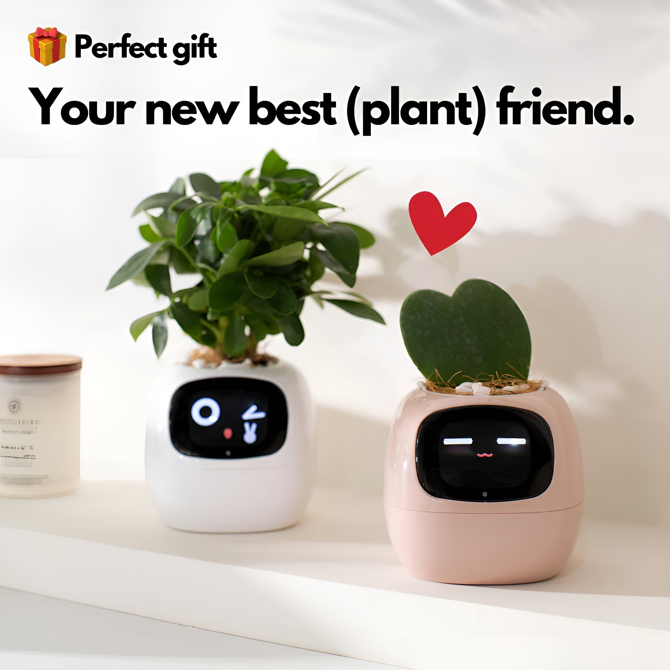 IVI Smart Planter