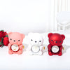 “Valentino” Teddy Bear with Eternal Rose and Heart Necklace: The Gift of Love